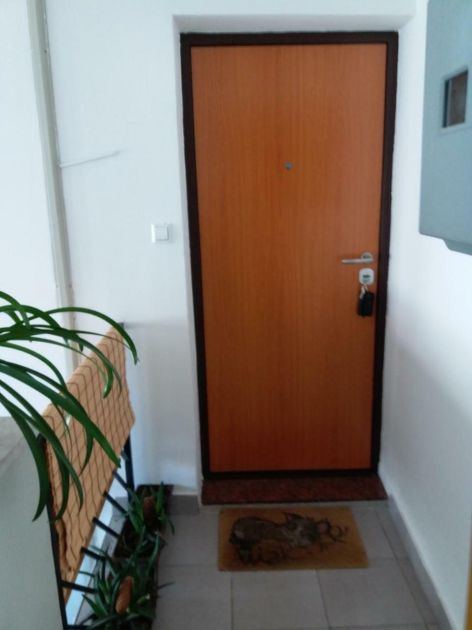 Cozy Apartment Aya In Old Town Сараєво Екстер'єр фото
